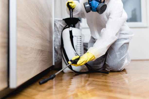 Best Exterminator Services  in Victorville, CA