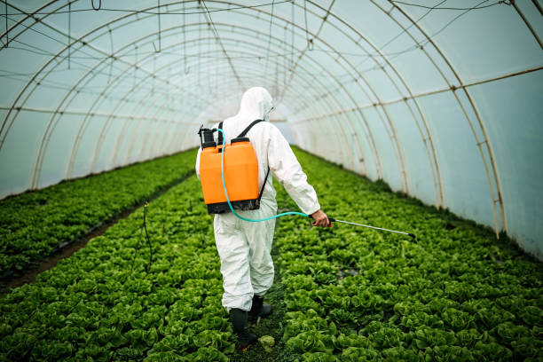 Best Emergency Pest Control  in Victorville, CA
