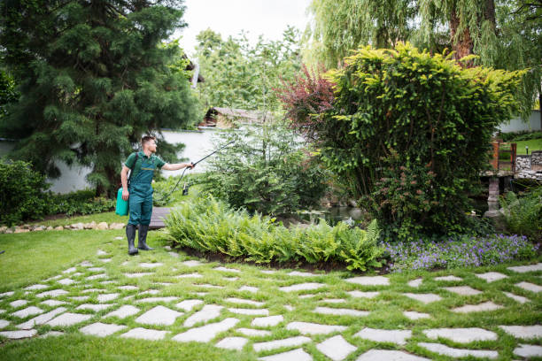 Professional Pest Control in Victorville, CA