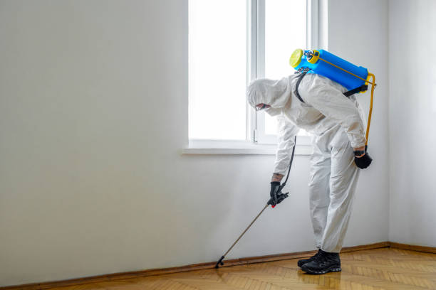 Best Wildlife Control Services  in Victorville, CA