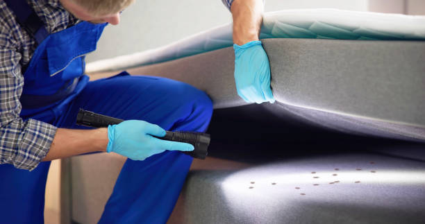 Best Pest Control Near Me in Victorville, CA